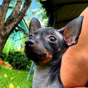 Kevin Prague Ratter Kevin Prague Ratter
