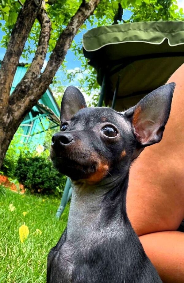 Kevin Prague Ratter Kevin Prague Ratter