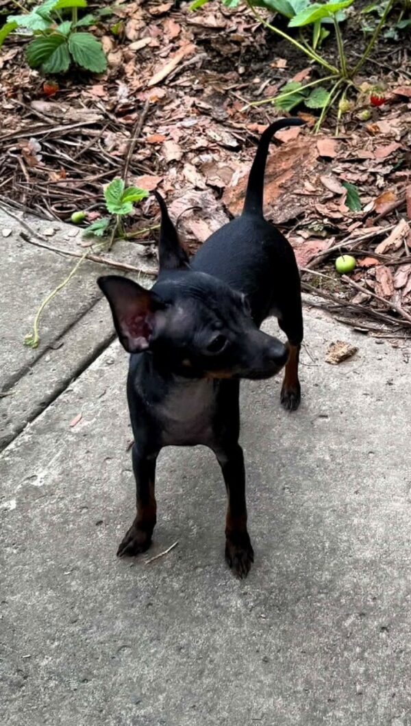 Kevin Prague Ratter Kevin Prague Ratter