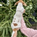 Khaneta-female-Jack-Russell-Terrier-puppy-for-sale-1 (2)