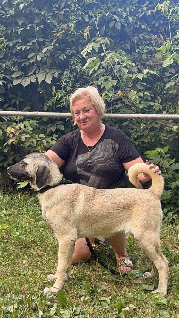 Priscilla Kangal Priscilla Kangal