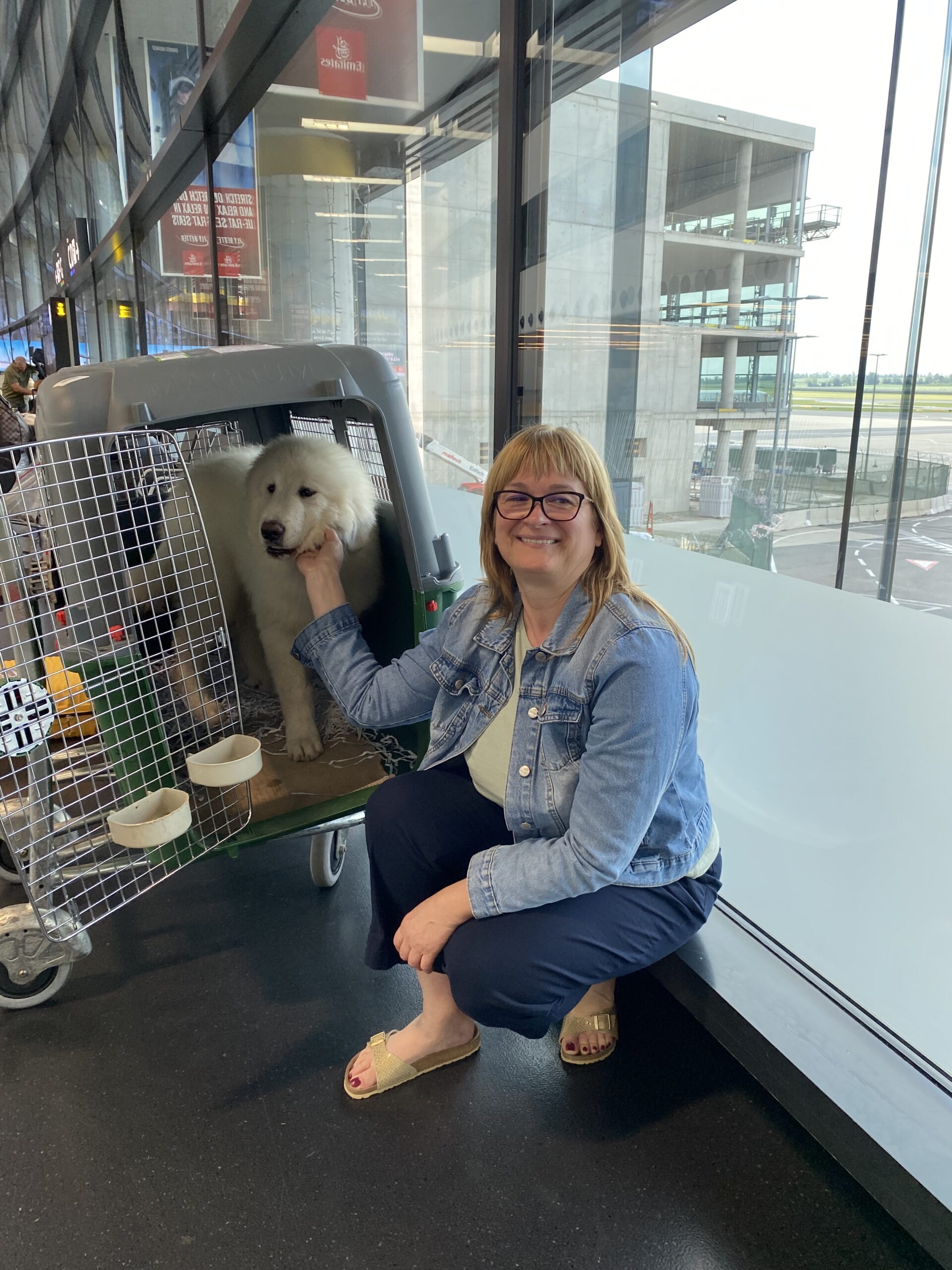 Crate Training