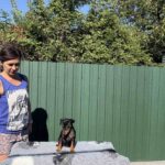 Dakar-male-Miniature-Pinscher-puppy-for-sale-1 (1)