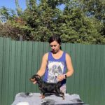 Dakar-male-Miniature-Pinscher-puppy-for-sale-1 (3)