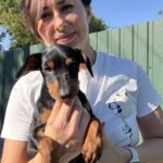 Daytona-female-Miniature-Pinscher-puppy-for-sale-1 (2)