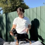 Daytona-female-Miniature-Pinscher-puppy-for-sale-1 (6)