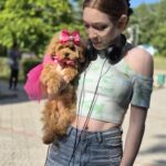 Dinara-female-maltipoo-puppy-for-sale-1 (1)