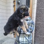 изображение_viber_2026-10-05_16-50-04-842